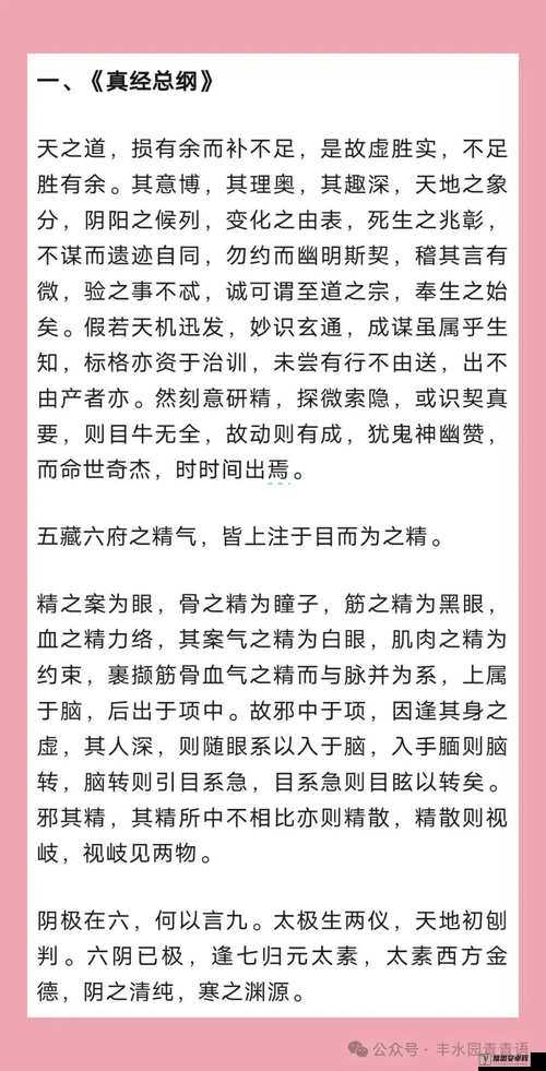 九阴真经四内秘技全揭秘：深度解读秘籍奥秘