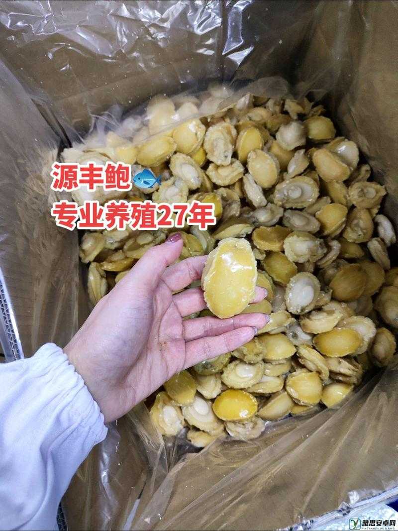 粉鲍多水的独特魅力与奇妙体验